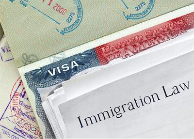Virtual assignments and immigration law