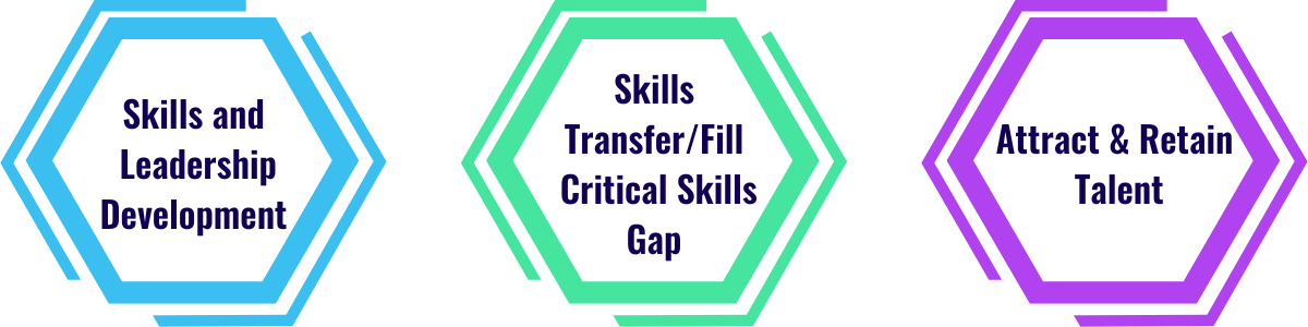Skills and Leadership Development, Skills Transfer/Fill Critical Skills Gap, Attract & Retain Talent