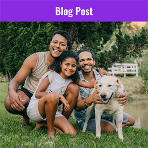 Additional Harnessing DEI Additional Harnessing DEI