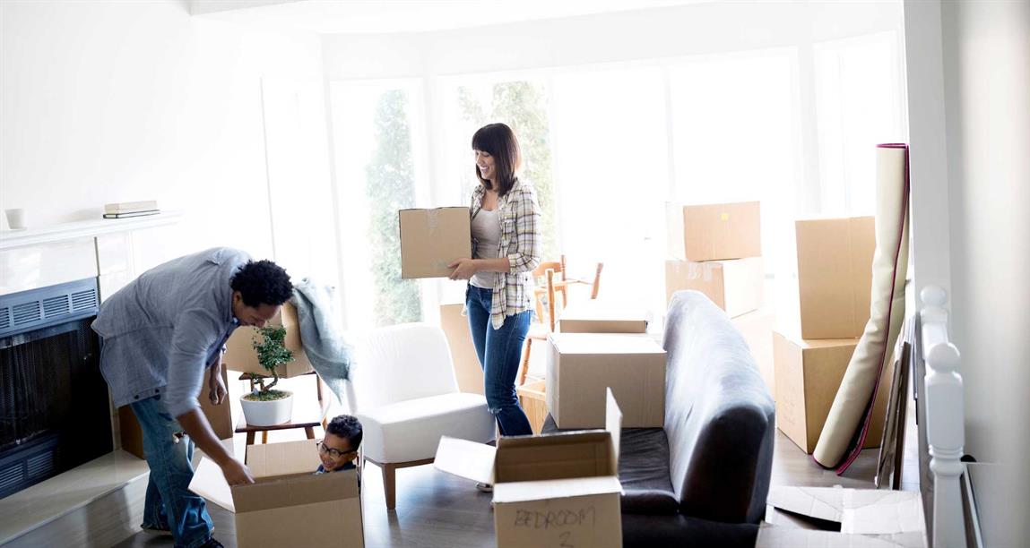 Family packing boxes